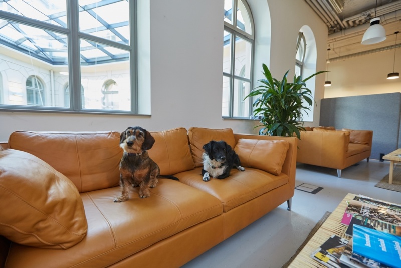 Kutyabarát és őszinte: új irodában a Mito