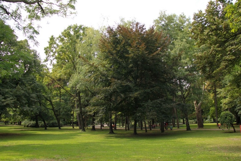 Te döntheted el, hogyan nézzenek ki Budapest közparkjai