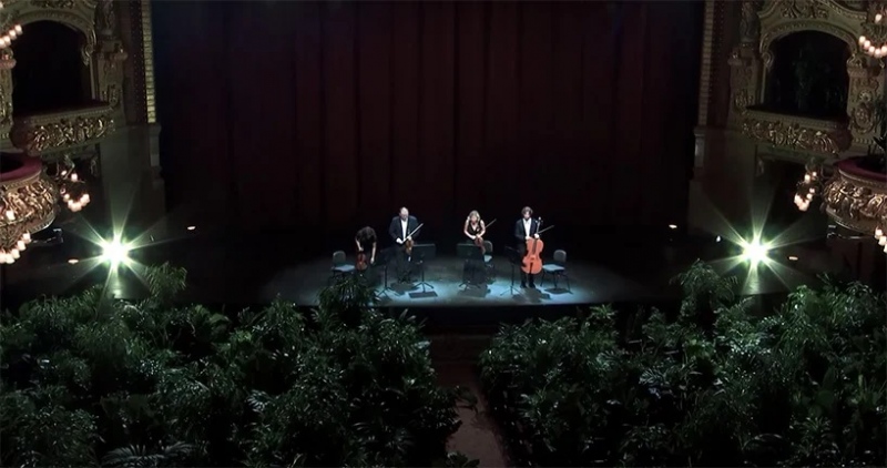 Szobanövényeknek adott koncertet a barcelonai operaház vonósnégyese