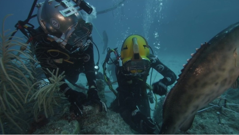 A világ legnagyobb víz alatti kutatóállomása épül meg a Karib-tenger mélyén 