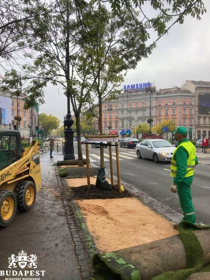 A műfű felszedése - Fotó: Budapest Városháza / Facebook