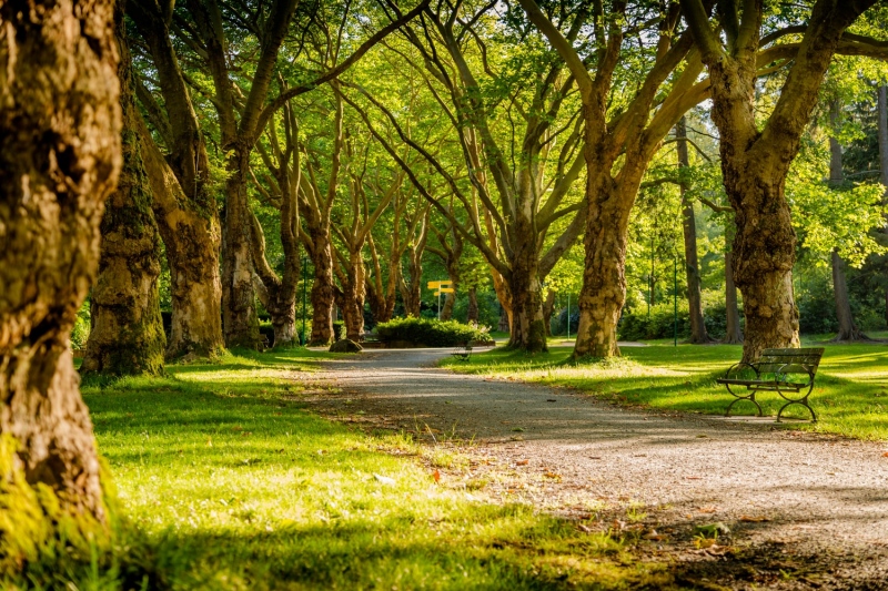 Két Margitszigetnyi közpark épülhet Budapesten