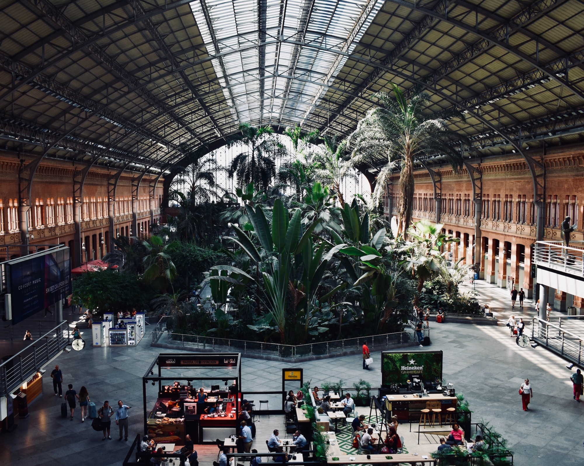 Az Atocha pályaudvar Madridban, amelyből üvegház lett – Fotó: Mindaugas Petrutis / Unsplash