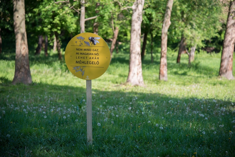 A méhlegelő nem mézgyár, toklászmentes paradicsom viszont lehet