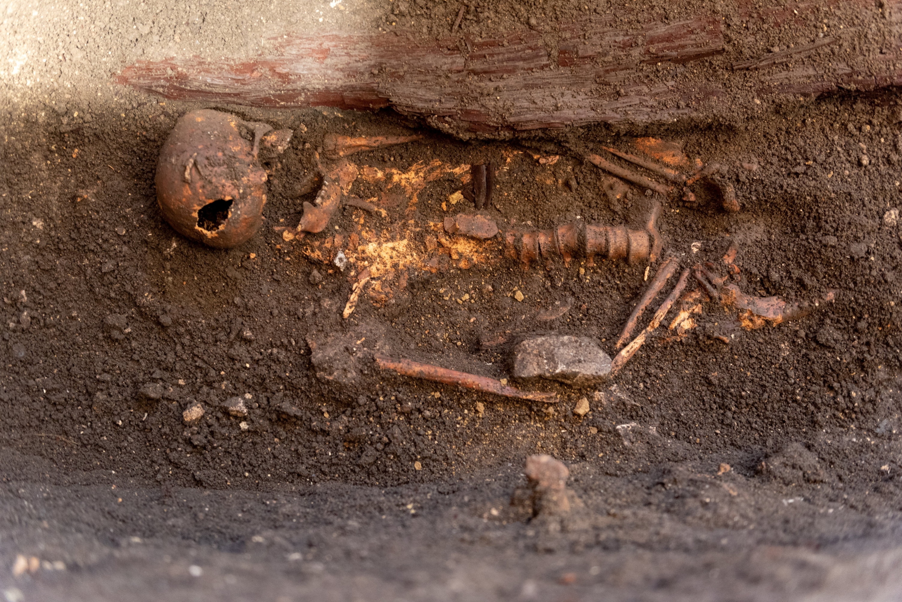 Az 1500 körüli koporsós temetkezésből feltárt csontváz a sztánai református templom hajójában megnyitott régészeti árokban