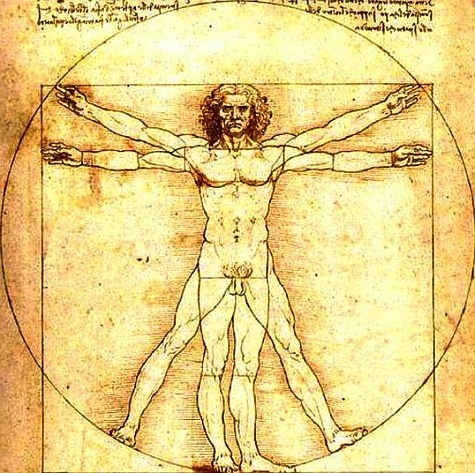 Leonardo da Vinci: Vitruvius-tanulmány