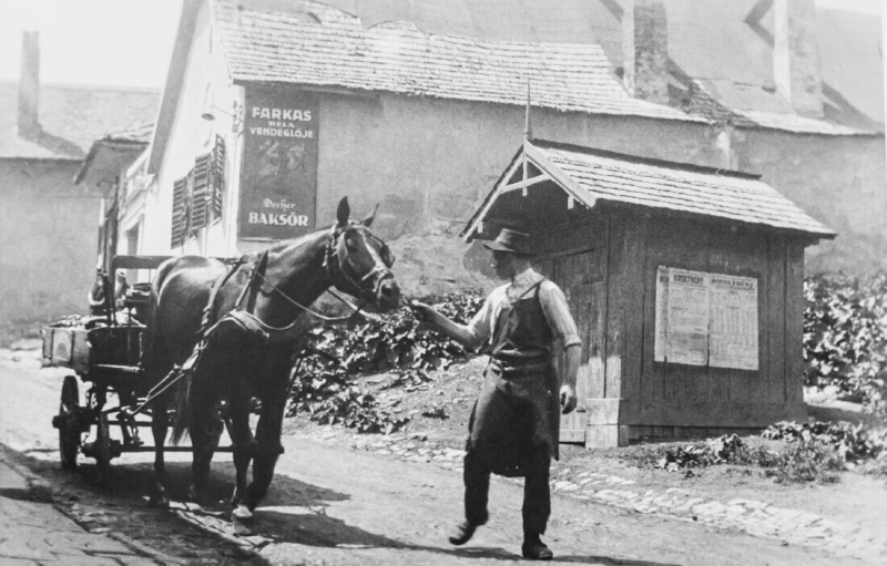 Könyv a Tabánról | Külvárosi, de a szó budai értelmében