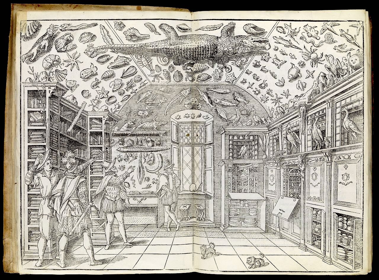 Fametszet, Wunderkammer szoba, Nápoly, 1599, Ferrante Imperato, „Dell’historia naturale…” Libri XXVIII