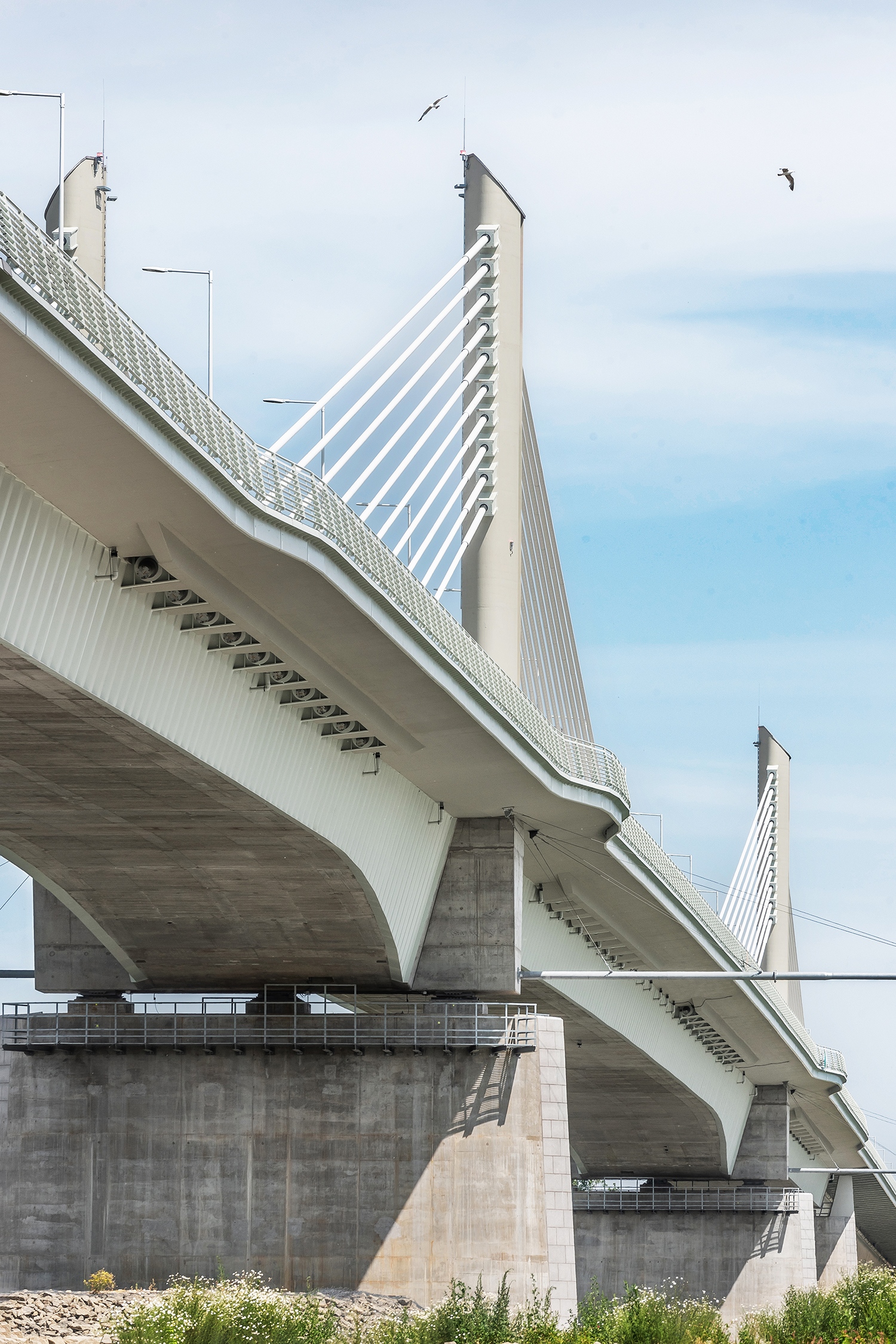 (Fotó: Gulyás Attila)