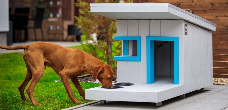 Bauhaus stílusban tervez kutyaházat egy magyar vállalkozás