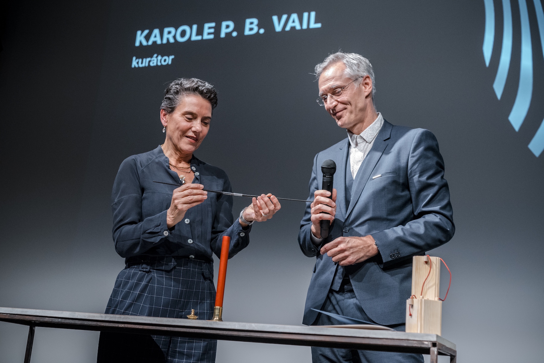 Karol Vail átveszi a Moholy-Nagy-díjat - Fotó: Lakos Máté