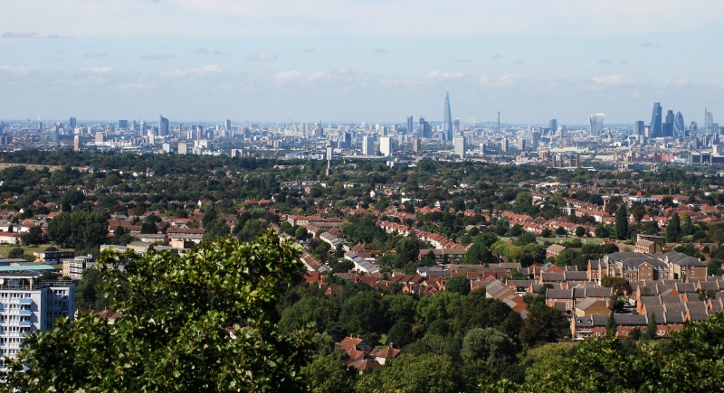 Londonban kiszámolták, mennyi pénzt takaríthatunk meg a fákkal