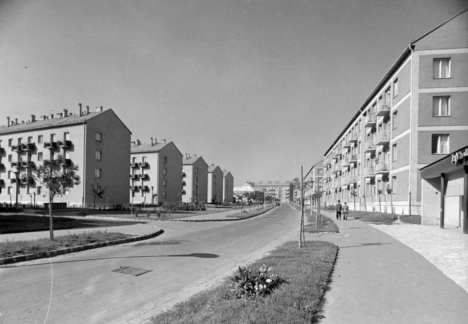 A pécsi Uránváros 1961-ben - Fotó: Fortepan
