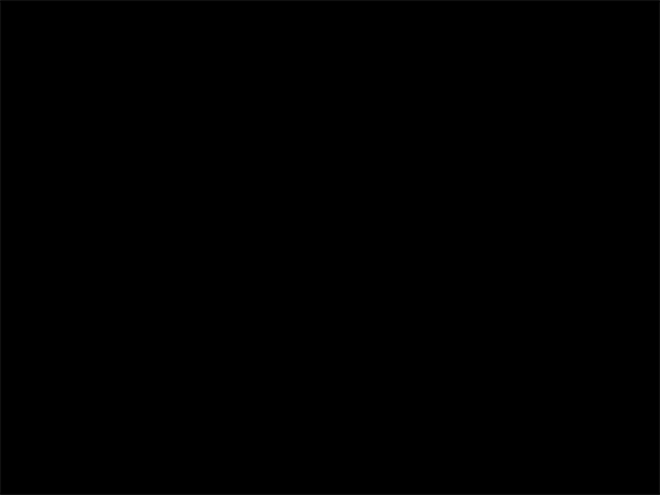 Szebenyi Dávid animált logója