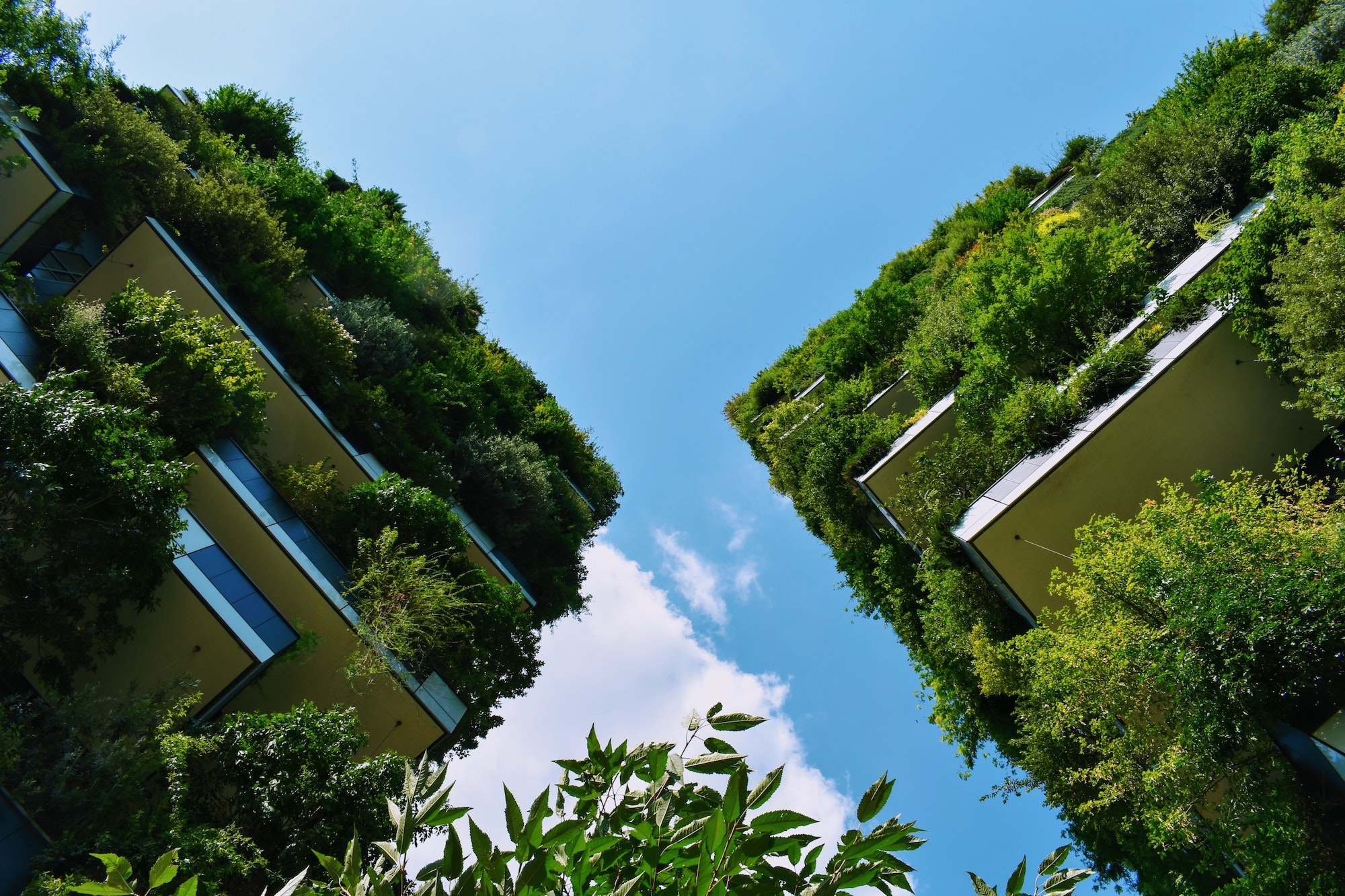 A milánói Bosco Verticale – Fotó: Molnár Gábor / Unsplash