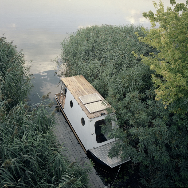 Vízigarzon a Tisza-tavon