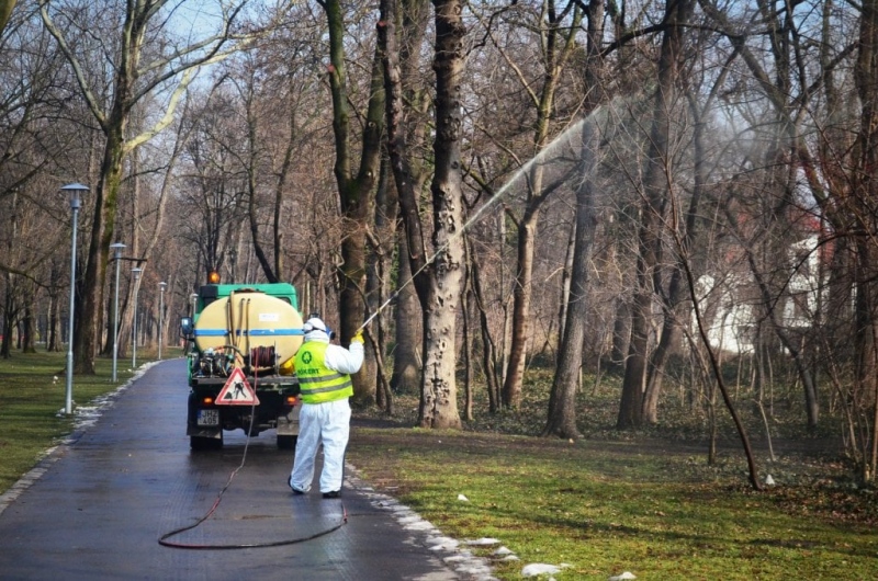 Indul a fapermetezés Budapesten 