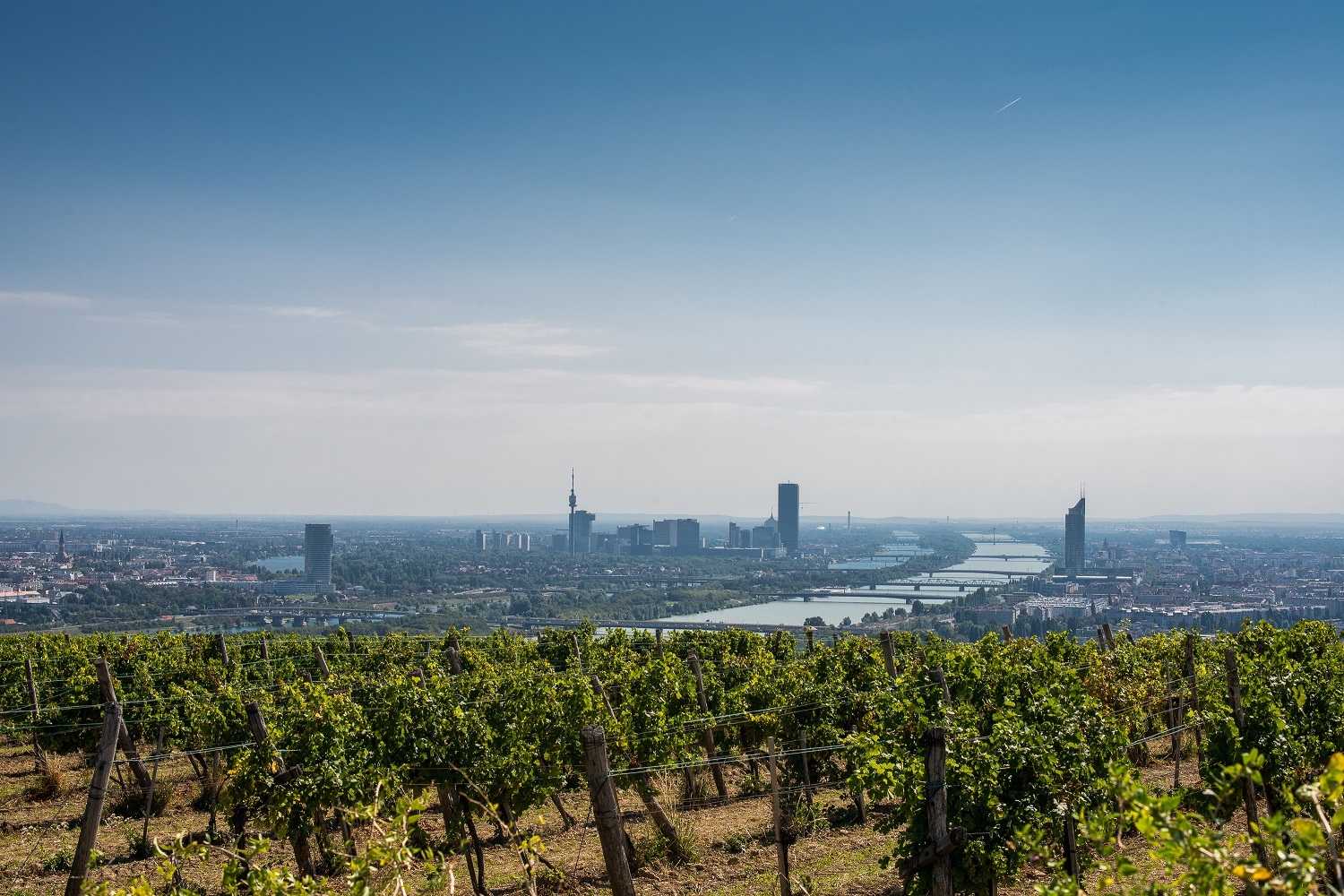 Bécs évek óta egyike a világ legélhetőbb városainak © Wirtschaftsagentur / David Bohmann