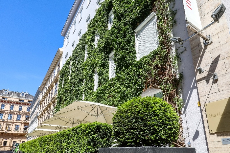 Hétmillió forintnyi támogatás városi homlokzatok, tetők és belső udvarok zöldítésére Bécsben 