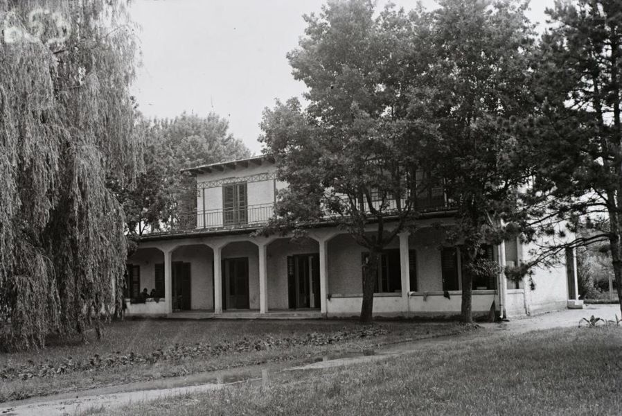 Törley villa 1950-ben