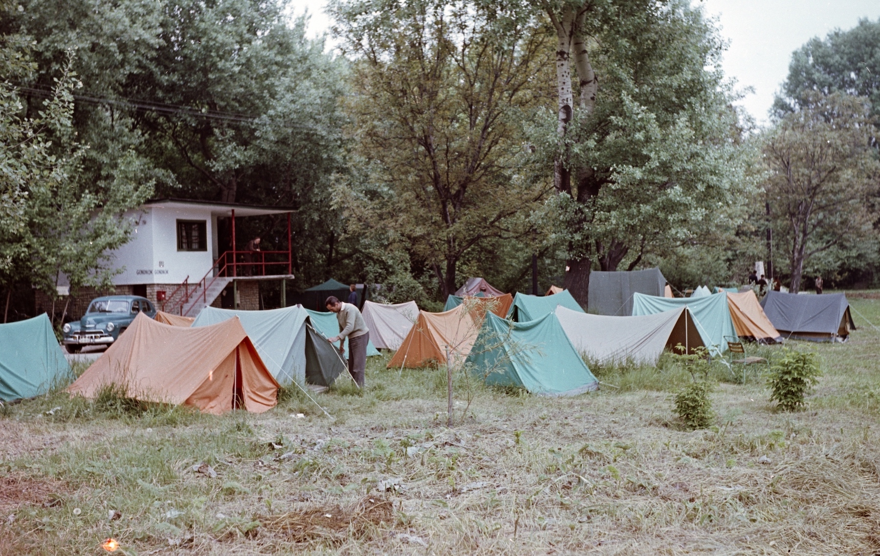 Szentendrei Pap-sziget akkor – Fotó: Fortepan