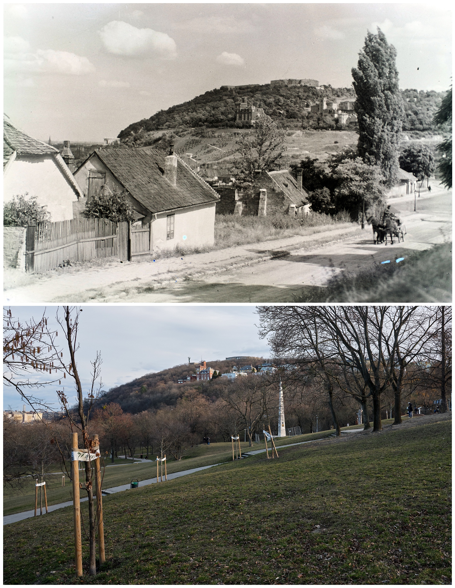 Naphegy utca, szemben a Gellért-hegy az Orom utca és a Bérc utca házaival - forrás: Fortepan/Lettner József, Cordia fotó/Antal László