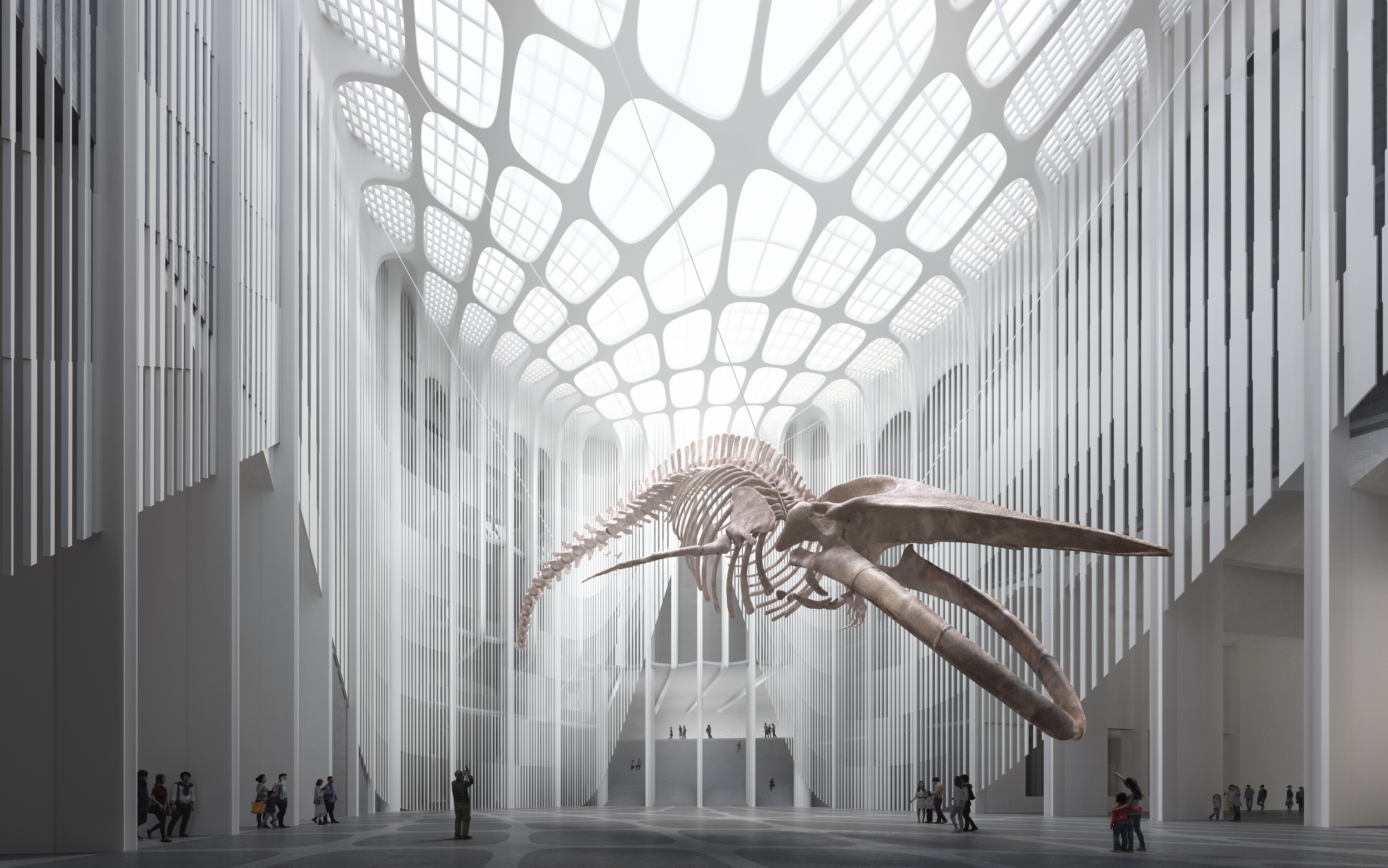 Natural History Museum, client: Zaha Hadid Architects 