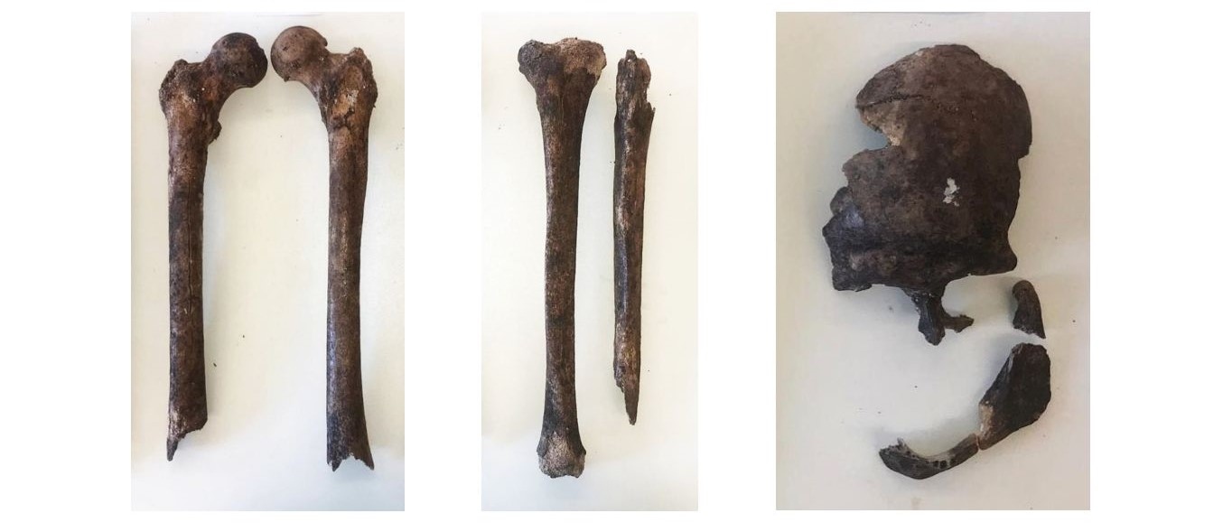 11. századi csontmaradványok a tihanyi altemplom kriptájából. Fotó: Pazirik Kft.