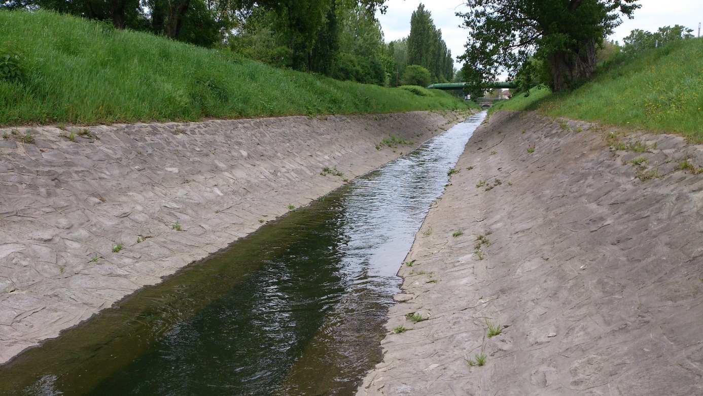 A Rákos patak sok helyen betonmederben fut, ami nem kedvez az ökológiai egyensúlynak