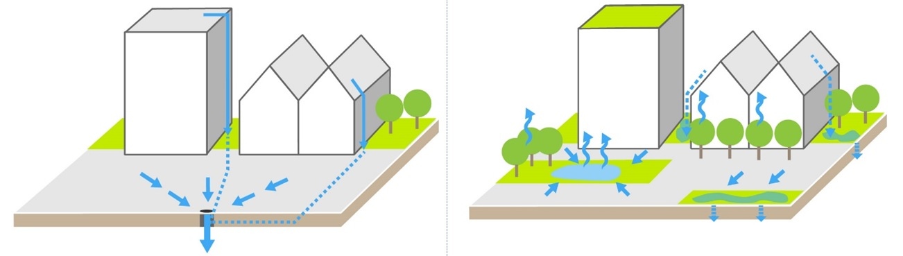 Tradicionális csapadékvízkezelés, és kék-zöld infrastruktúra. Ábra: Csizmadia Dóra