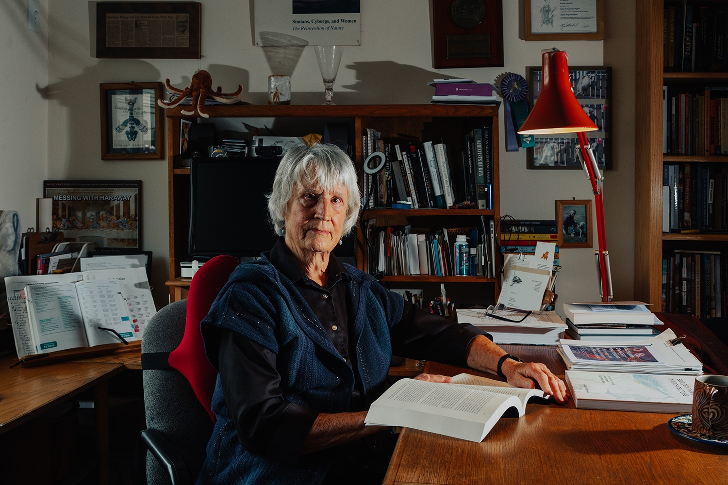 Donna Haraway (Fotó: Clara Mokri)