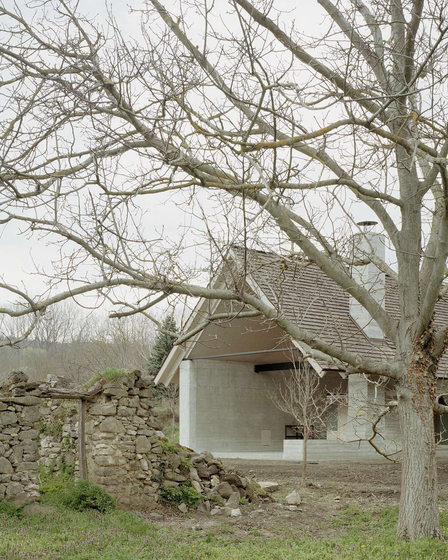 Ház és Méhes, Fotó: Danyi Balázs