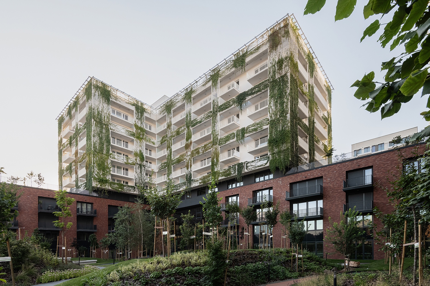 A borostyán, vadszőlő és lonc alkotta borítás nem a homlokzaton, hanem az abból kilépő teraszok elé telepített acél tartószerkezeten nyugszik