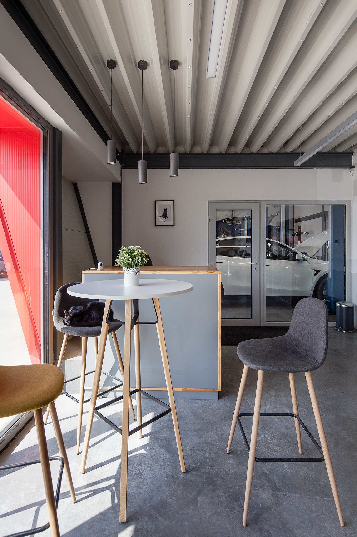 A funkcionális berendezésű recepció, háttérben egy macskás faldísz (Fotó: Török Tamás)