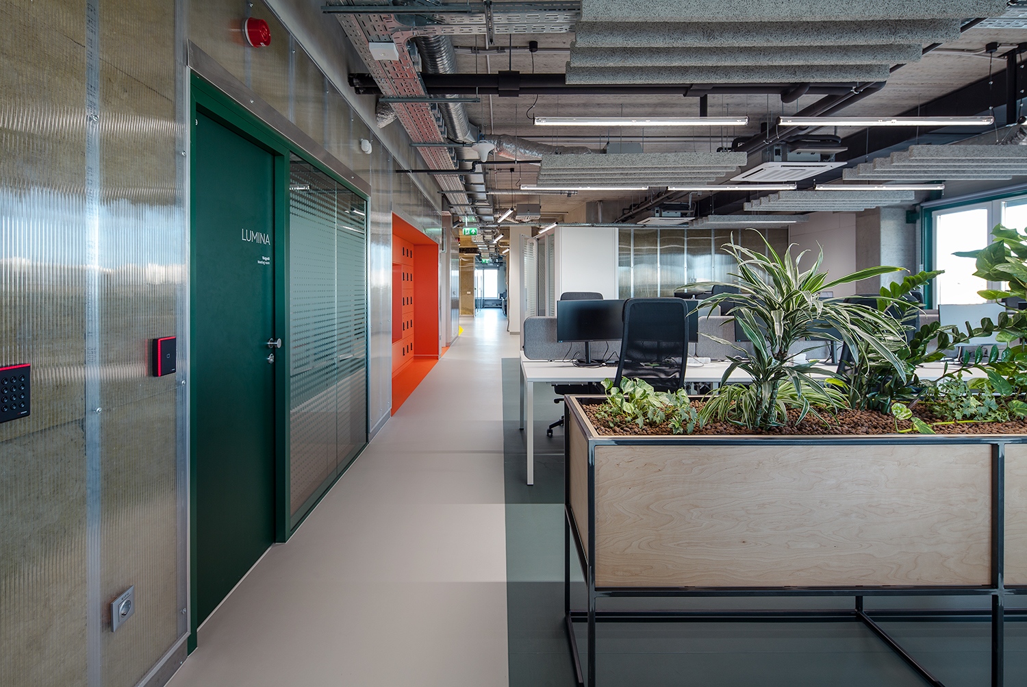 Fotó: Török Tamás